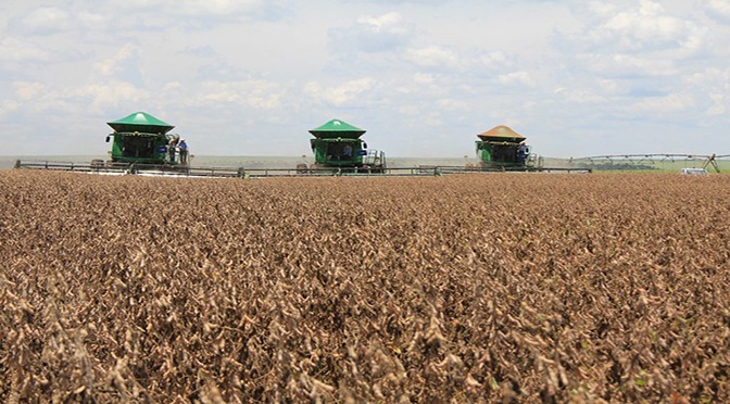 VBP agro ultrapassa R$ 39 bilhões em Mato Grosso do Sul