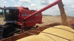 Produtor rural pode solicitar recursos do Plano Safra a partir de hoje Produtor rural pode solicitar recursos do Plano Safra a partir de hoje