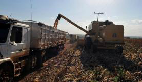 Produção de soja ameniza queda do PIB no primeiro trimestreValter Campanato/Agência Brasil
