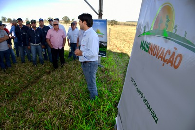 Dia de Campo mostra manejo sustentável de pastagens