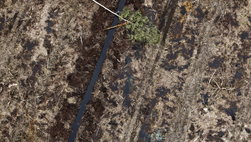 Agropecuária é responsável por 69% das emissões de gases do efeito estufa, diz pesquisa