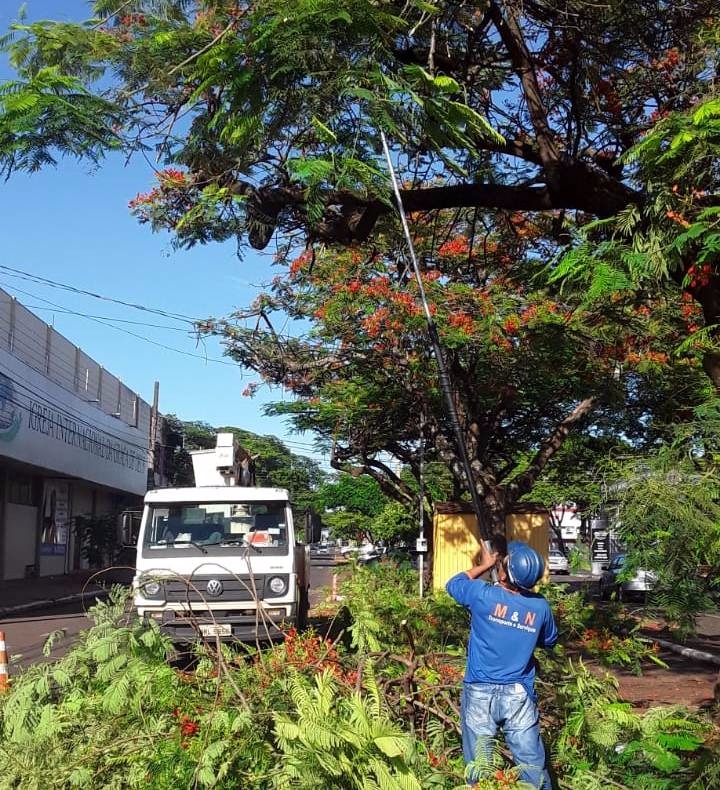 Prefeitura poda árvores na região central da cidade de Dourados Divulgação