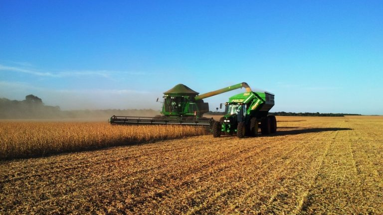 Economia de Mato Grosso do Sul tem a 6ª maior taxa de crescimento no país Divulgação