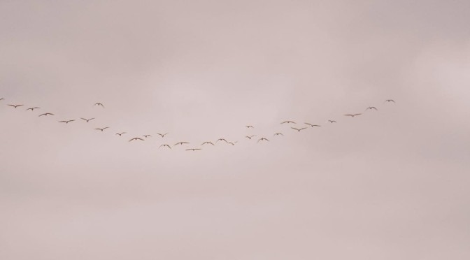 Nos feriados chuva atinge todo Mato Grosso do Sul