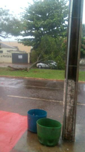 A árvore caiu em cima do veículo ocupado por três mulheres, no momento em que passava pelo local, ninguém se feriu- Foto: Ailton Santos/ Defesa Civil