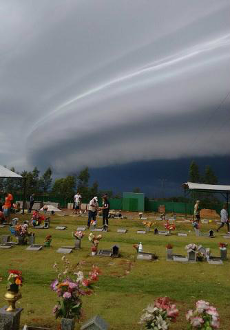 A imagem foi registrada em um dos cemitério de Dourados na manhã desta quarta-feira (02)- Foto: Keila Mathias/Ligado na Redação