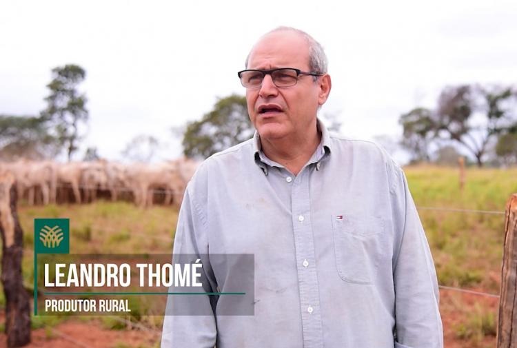 Com Senar/MS, produtor de Água Clara profissionaliza propriedade rural Com Senar/MS, produtor de Água Clara profissionaliza propriedade rural