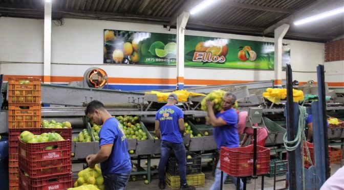 Divulgação/ Semagro