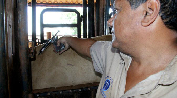 Governo lança 2ª etapa de vacinação contra a febre aftosa com meta de imunizar 9,5 milhões de animais