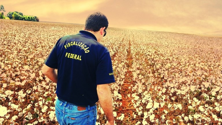 Decreto define vigilância agropecuária como atividade essencial ao país Decreto define vigilância agropecuária como atividade essencial ao país