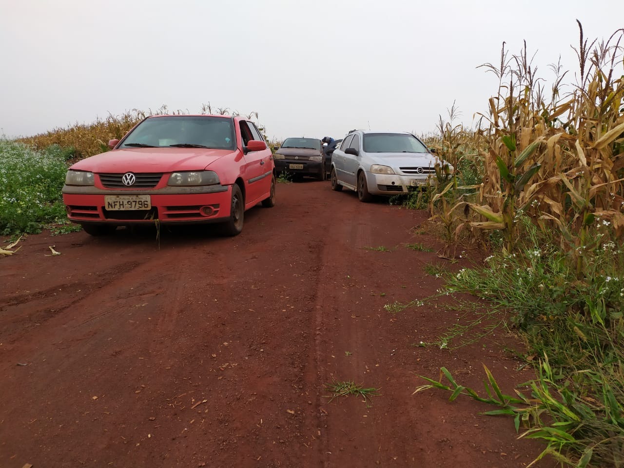Motoristas abandonam veículos com mercadorias do Paraguai em milharal Divulgação