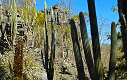ICMBio lança documentos para auxiliar no licenciamento ambiental de locais próximos a cavidades naturais