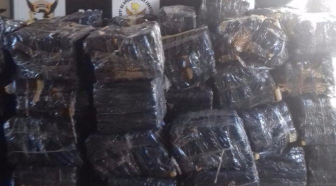 MS bate recorde histórico de apreensão de drogas nas fronteiras; Em seis meses foram 63 toneladas MS bate recorde histórico de apreensão de drogas nas fronteiras; Em seis meses foram 63 toneladas