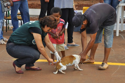 A campanha de vacinação antirrábica estará nesta quinta, sexta, sábado, em mais quatro bairros – A. Frota