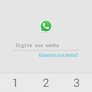 4.
Pronto! Toda vez que você (ou algum intruso) acessar o WhatsApp, o aplicativo pedirá a senha para acessá-lo.
Foto: Reprodução