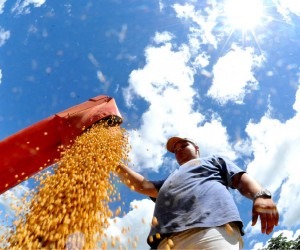 MS exporta R$ 2,311 bilhões a mais em 2017 frente a 2016, aponta MDIC Soja se manteve como principal item exportado por Mato Grosso do Sul em 2017, segundo o MDIC