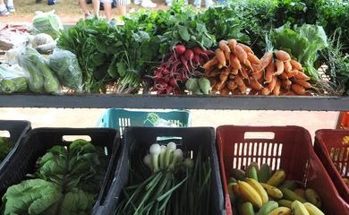 Arquivo/Agência Brasil
