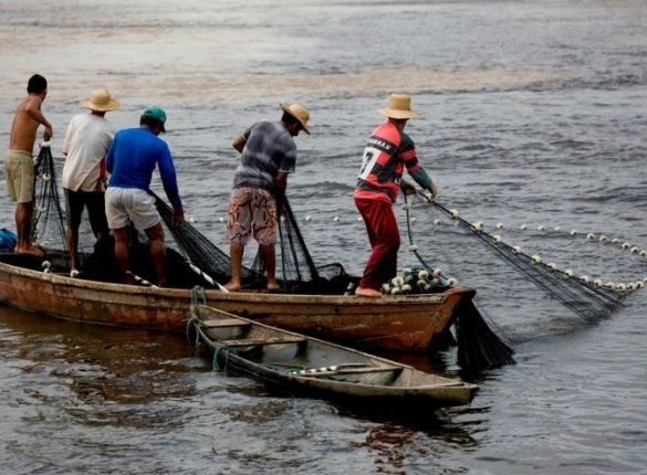 Recadastramento de pescadores deve começar em cerca de 30 dias Recadastramento de pescadores deve começar em cerca de 30 dias