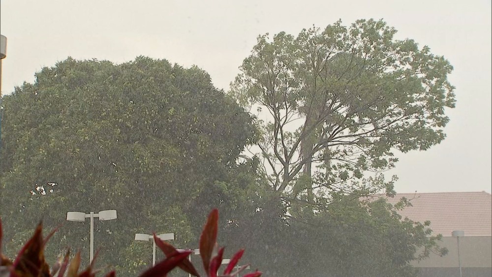 Chuva de novembro na Capital foi 52% maior que o esperado Chuva de novembro na Capital foi 52% maior que o esperado