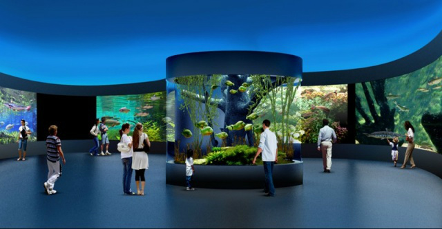 Em projeto, governo simula como será os ambientes do Aquário do Pantanal (Imagem: Divulgação/Assessoria)