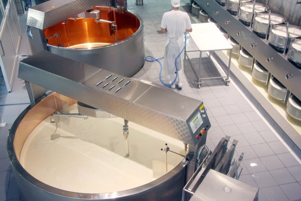 Estado perde 25% dos laticínios por deficiências no setor