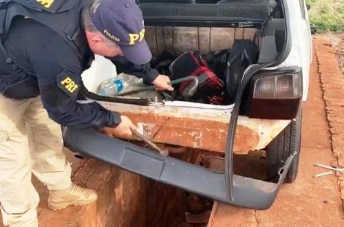 Casal é preso levando maconha para o estado de São Paulo Divulgação