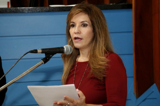 Lei: Dia Estadual da Cultura é instituído em MS A nova norma é de autoria da deputada estadual Antonieta Amorim
Foto: Victor Chileno