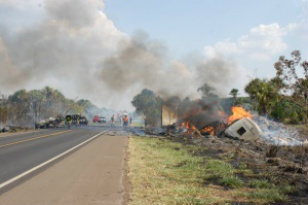 O fogo atingiu a pastagem às margens da rodovia 
(Foto: Simão Nogueira)