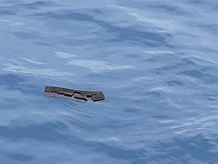 Corpos de vítimas de acidente aéreo são encontrados no mar Destroços que a Força Aérea Chilena acredita ser de avião militar que caiu esta semana foram encontrados na Passagem de Drake (Reuters/Fuerza Aerea de Chile