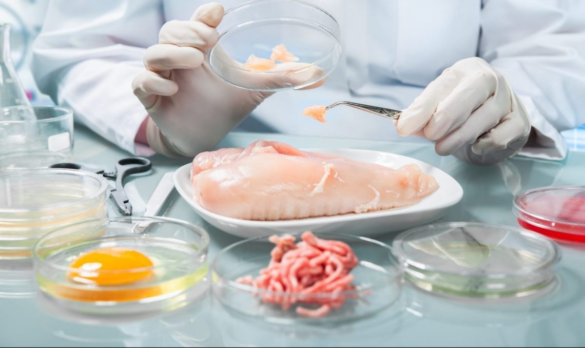 Curso online de segurança alimentar é oferecido para micro e pequenas empresas Foto Ilustrativa