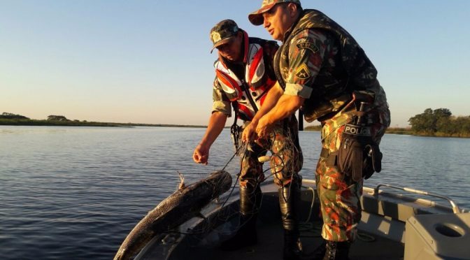 PMA apreende 500 metros de rede de pesca no Parque Nacional da Ilha Grande