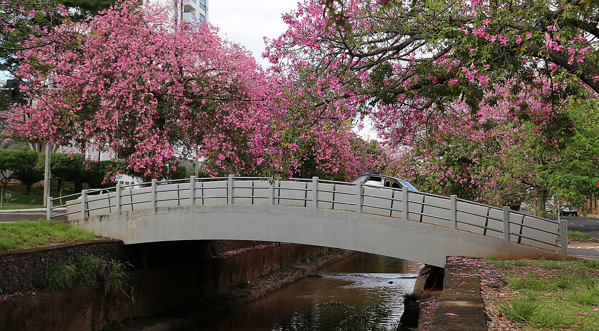 Mato Grosso do Sul terá quinta-feira de tempo seco e mínima de 6°C