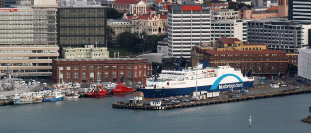 Milhares são evacuados de Wellington, capital da Nova Zelândia © Jacky Naegelen / Reuters