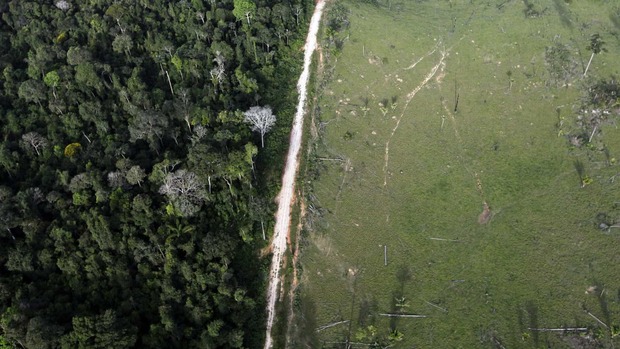 Desmatamento na Amazônia bate recorde e cresce 29,5% em 12 meses (Reuters)