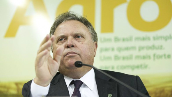 Acordo do Clima vai custar US$ 40 bilhões ao Brasil, diz Maggi Maggi lembra que o Brasil tem 61% do seu território coberto por matas e é responsável por 14% da água doce do Planeta (Foto: Agência Brasil)