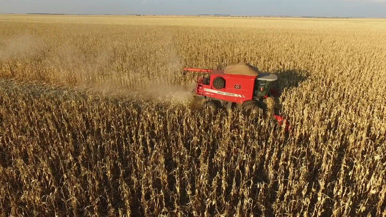 PIB do agronegócio cresceu 2,71% até julho, diz CNA Até julho o setor primário cresceu 6,52%, em razão da alta dos preços e da expectativa de maior faturamento em algumas culturas como soja e milho (Foto: Marcos Camargo)