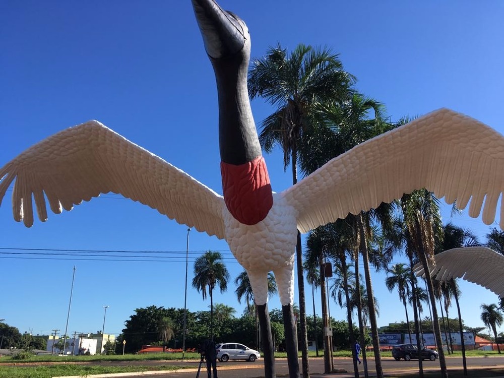 Tuiuiús no Aeroporto Internacional de Campo Grande, MS, após revitalização (Foto: Alexandre Cabral)