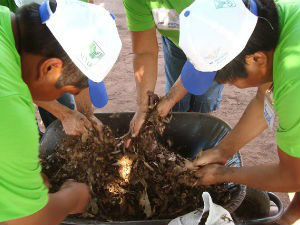 Extensão rural é tema de evento em MS
(Foto: Divulgação/Senar/MS)