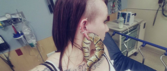 Cobra se enrola em orelha de dona, que precisa correr para hospital © Reprodução Facebook