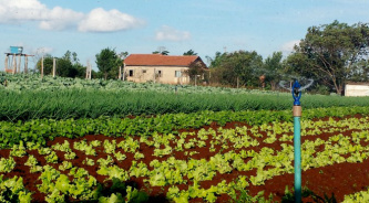 Ações do Estado buscam reduzir exportação de hortifrúti e ampliar renda do agricultor familiar