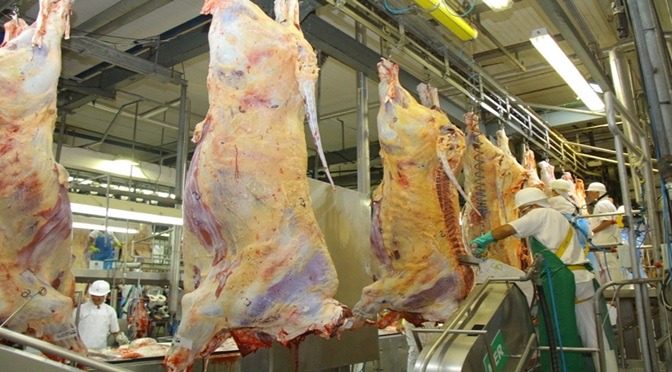 Produtores credenciados no Precoce MS recebem R$ 44,9 milhões em incentivos do Governo Foto: Chico Ribeiro