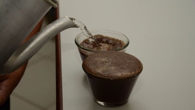 Todos os lotes ofertados foram arrematados no pregão, gerando R$ 1.238.278,96 (Foto: BSCA/Divulgação)
