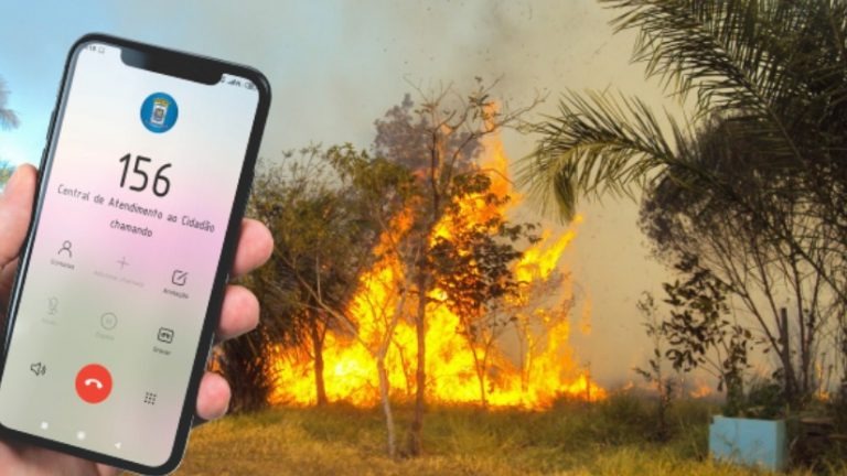 Para prevenir doenças respiratórias, Prefeitura multará em mais de R$ 9 mil quem fizer queimadas Divulgação