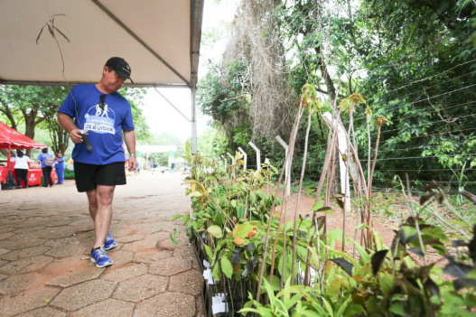 “Escolhi uma muda de anjico vermelho, vou plantar na chácara” Robival Nascimento Pinho, Assessor Jurídico da Secretaria de Educação. 

