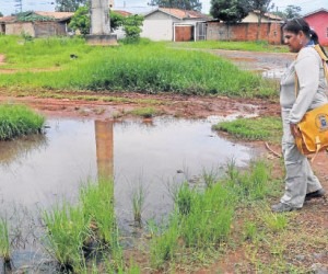 Até mesmo poças de água parada e suja servem de criadouro - Valdenir Rezende