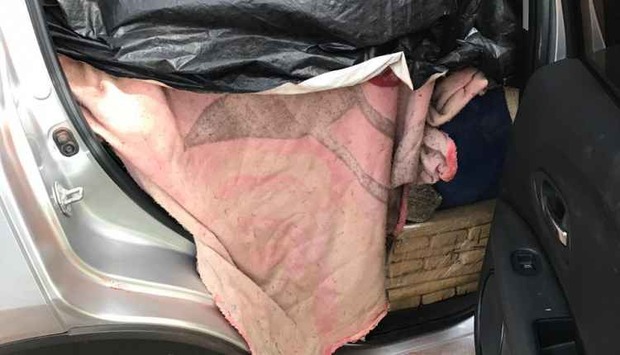 Quatro são presos durante fiscalização com 900 kg de maconha em carro