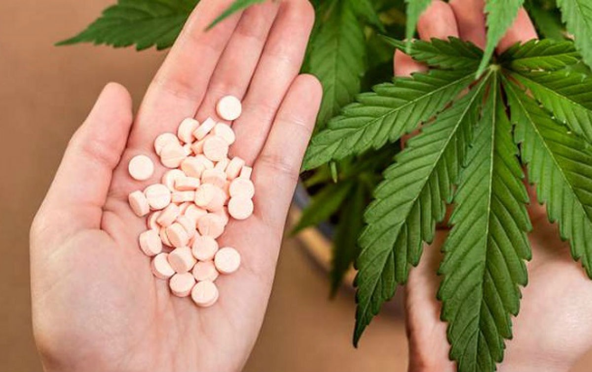 Associações fazem Marcha da Maconha Medicinal no sábado Ato acontece na Praça do Rádio Clube. Reprodução
