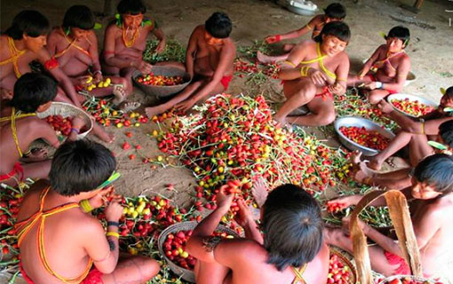 Uma em cada 3 indígenas são estupradas ao longo da vida, aponta relatório das Nações Unidas Uma em cada 3 indígenas são estupradas ao longo da vida, aponta relatório das Nações Unidas