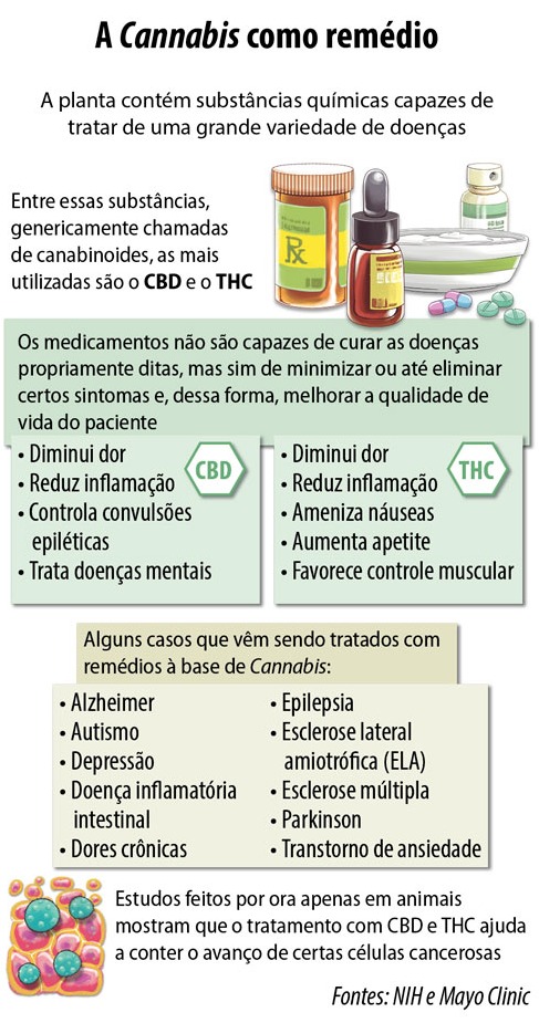 Entenda as discussões sobre a Cannabis medicinal Entenda as discussões sobre a Cannabis medicinal