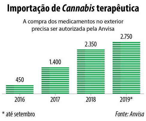 Entenda as discussões sobre a Cannabis medicinal Entenda as discussões sobre a Cannabis medicinal